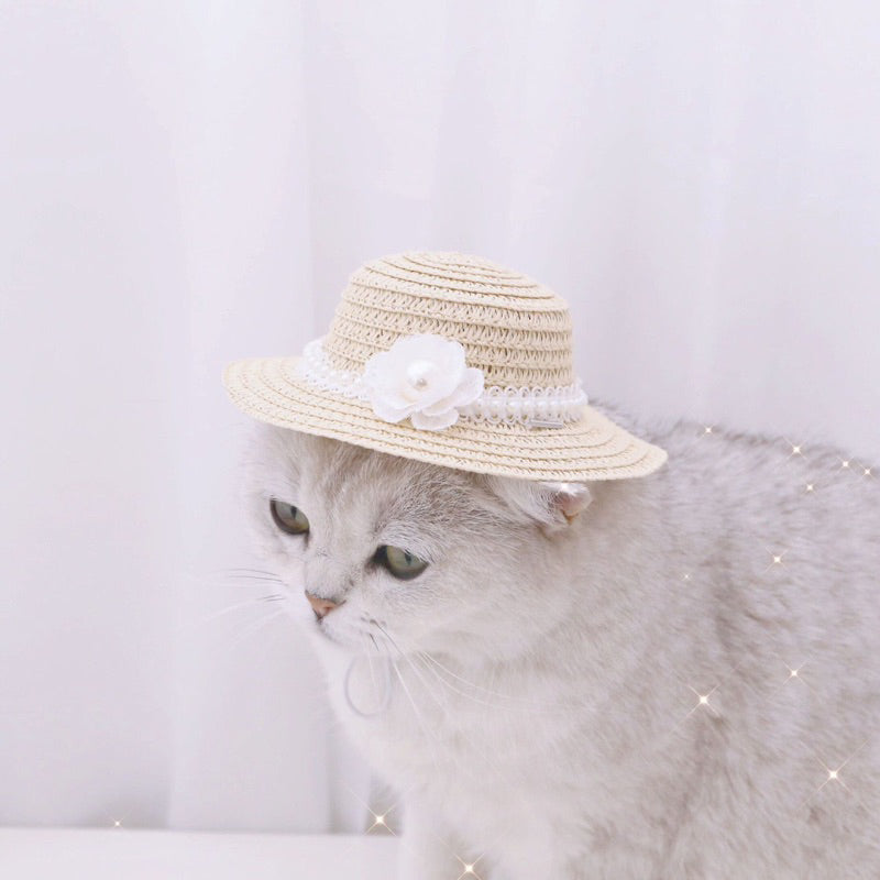 Cat hat 👒 retro straw hats pet dog accessories bow tie