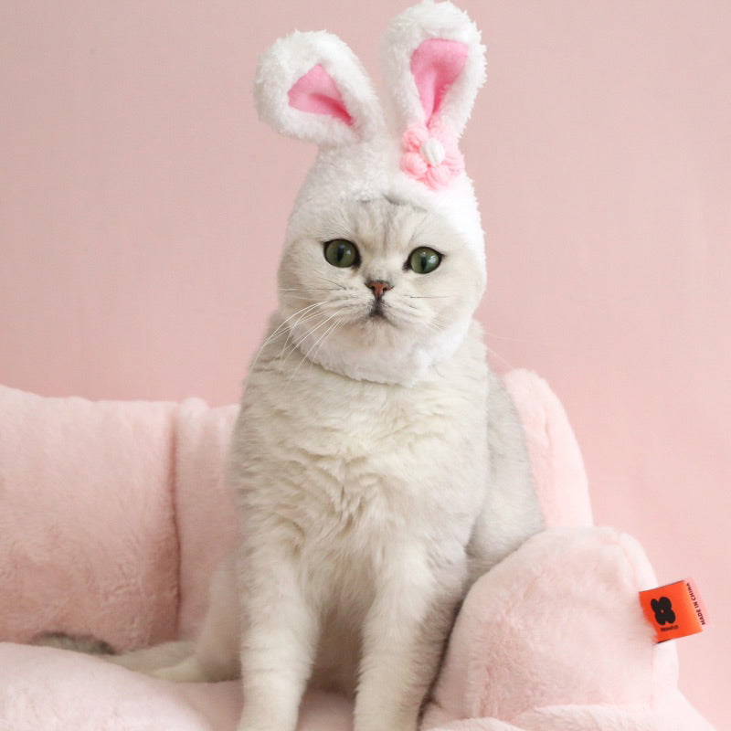 Cat accessories hat cap rabbit ears necklace collar pet collar
