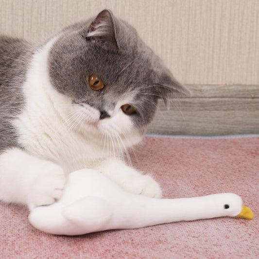 PurLab goose fluffy cat higging toy chaser bittting toy catnip pet toy