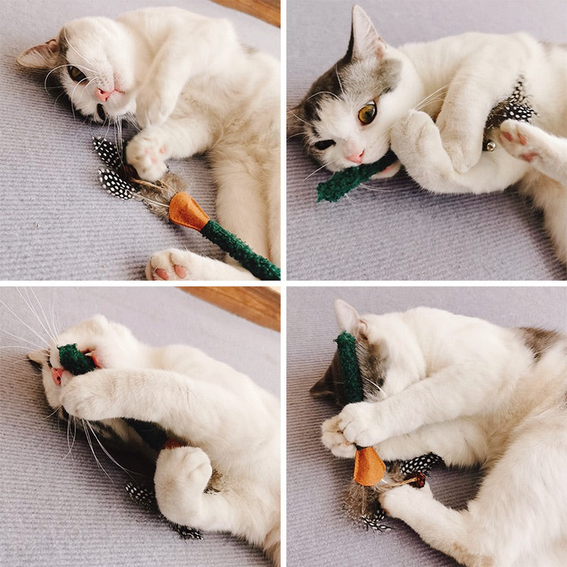 Cat toy Catnip bar set with fish feather bell insect Gall pet toy set
