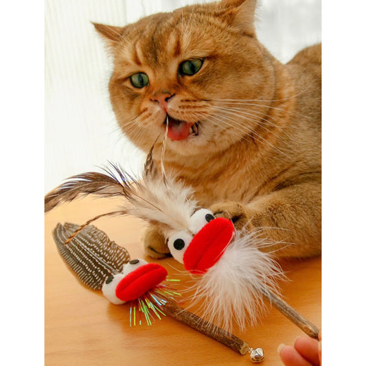 Big mouth Cat toy with feather and catnip bar teethe clean chaser chasing toy