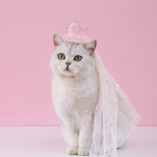Pet Wedding Veil Cat Dog Cosplay Suit Crown