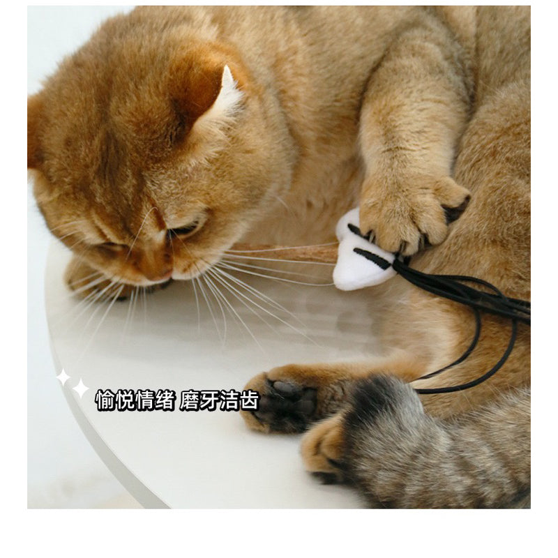 Cat toy Donkey and Zebra 🦓 catnip chaser bitting toy pet