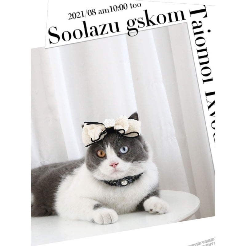 Pet hair pin accessories black and white classic series