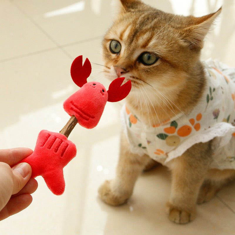 Catnip Car Toy animal friend double ended bitting chaser