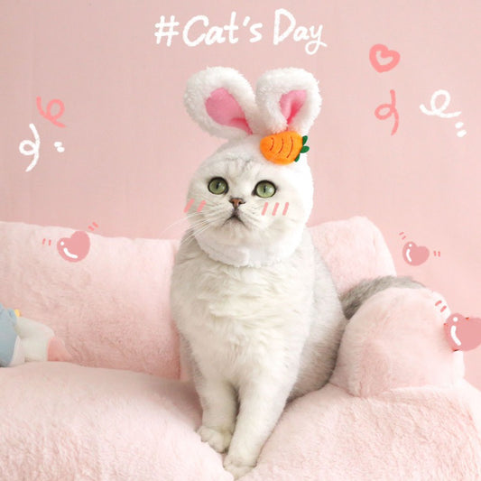 Cat accessories hat cap rabbit ears necklace collar pet collar