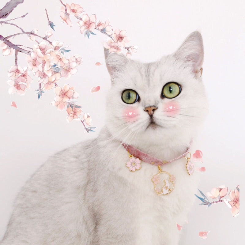 Cat Necklace collar pet dog accessories chocker 20-27cm