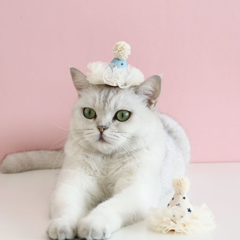 Cat party hat 🥳 pet dog necklace accessories cap