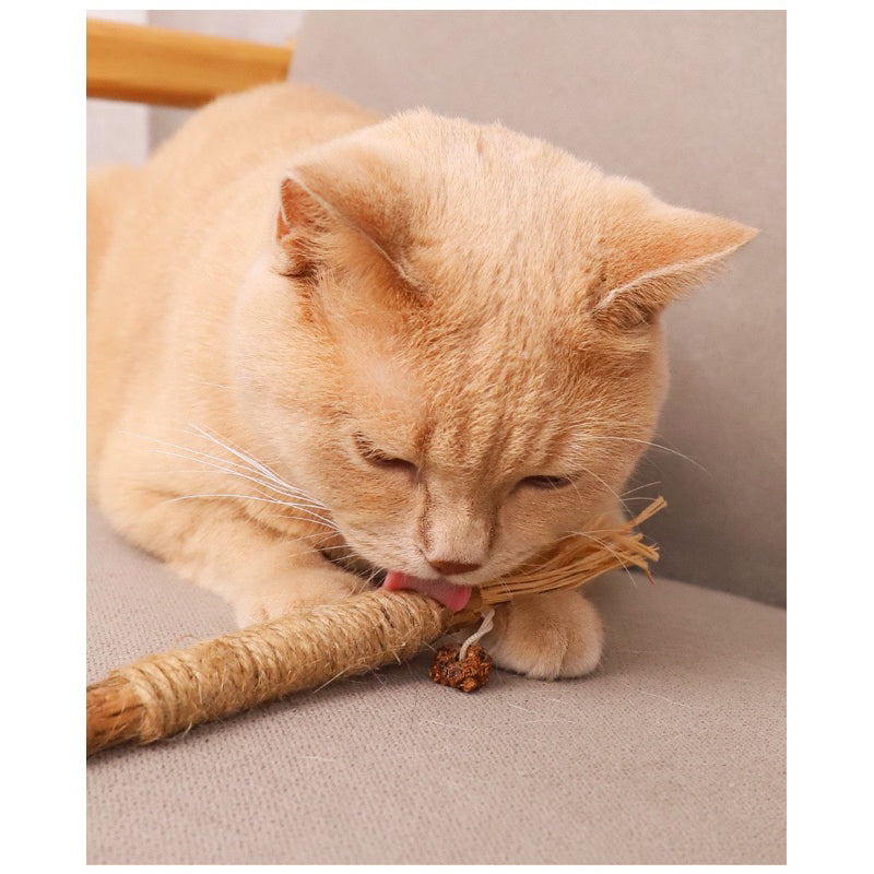 Catnip Catmint bitting bar cat toy sisal raffia teaser chaser stick