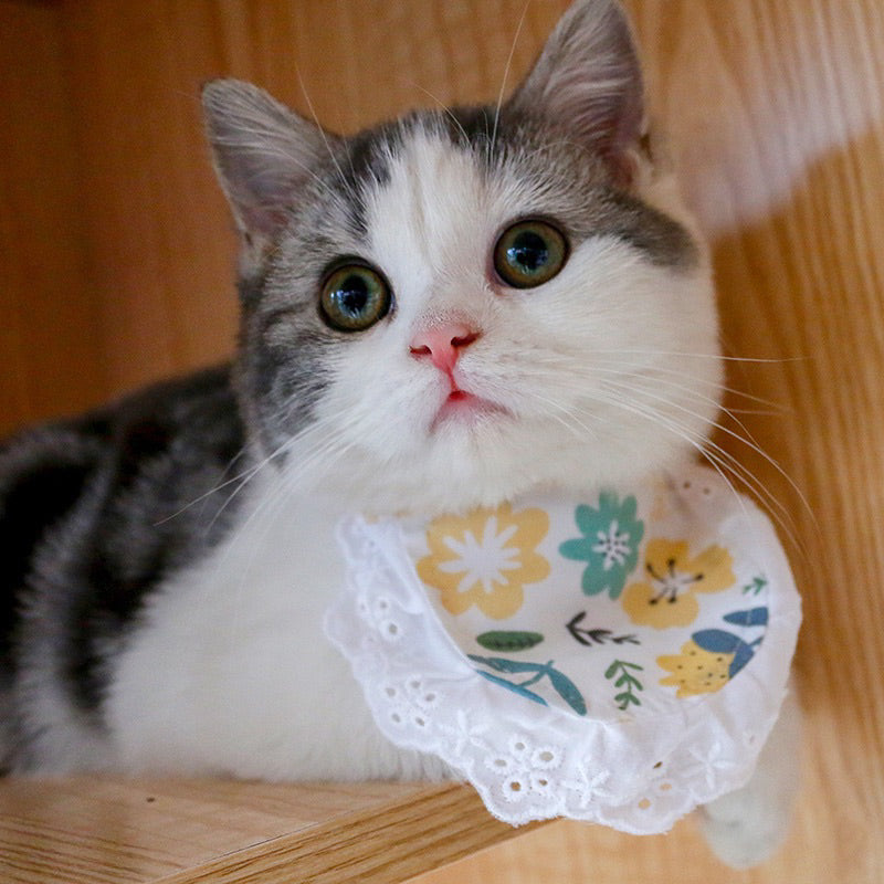 Cat Napkin Collar Necklace Neck Accessories Dog Pet Cloth