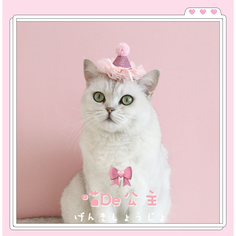Cat party hat 🥳 pet dog necklace accessories cap