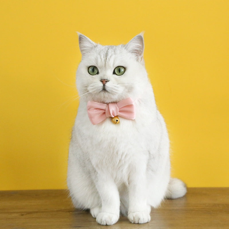Cat collar dog necklace bow tie pet accessories