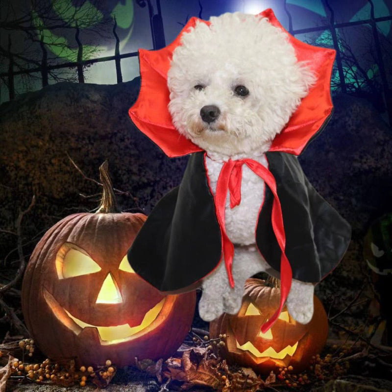 Pet Halloween 🎃 vampire 🧛‍♀️ costume cat dot cloth suit