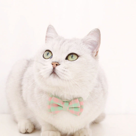 Pet Bow Tie cat dog grid design cravat collar necklace neck accessories