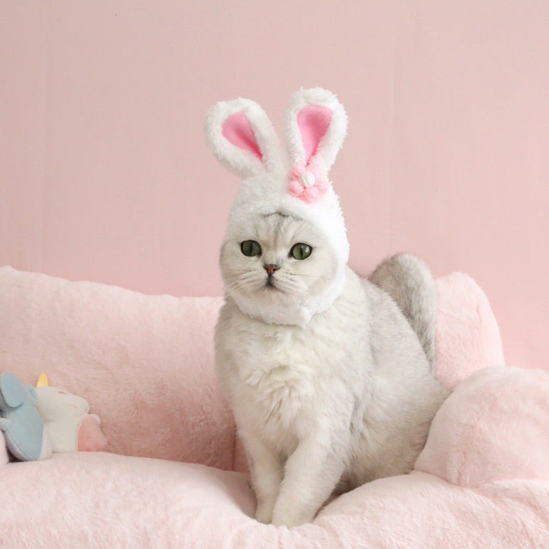 Cat accessories hat cap rabbit ears necklace collar pet collar