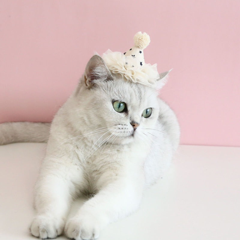 Cat party hat 🥳 pet dog necklace accessories cap