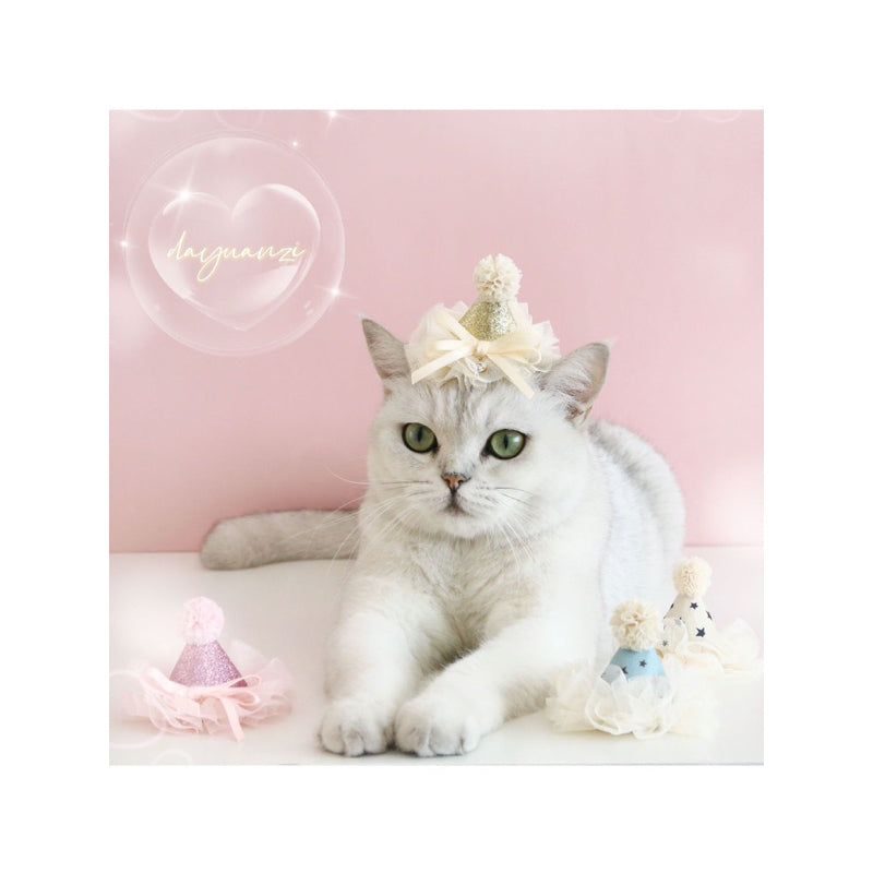 Cat party hat 🥳 pet dog necklace accessories cap