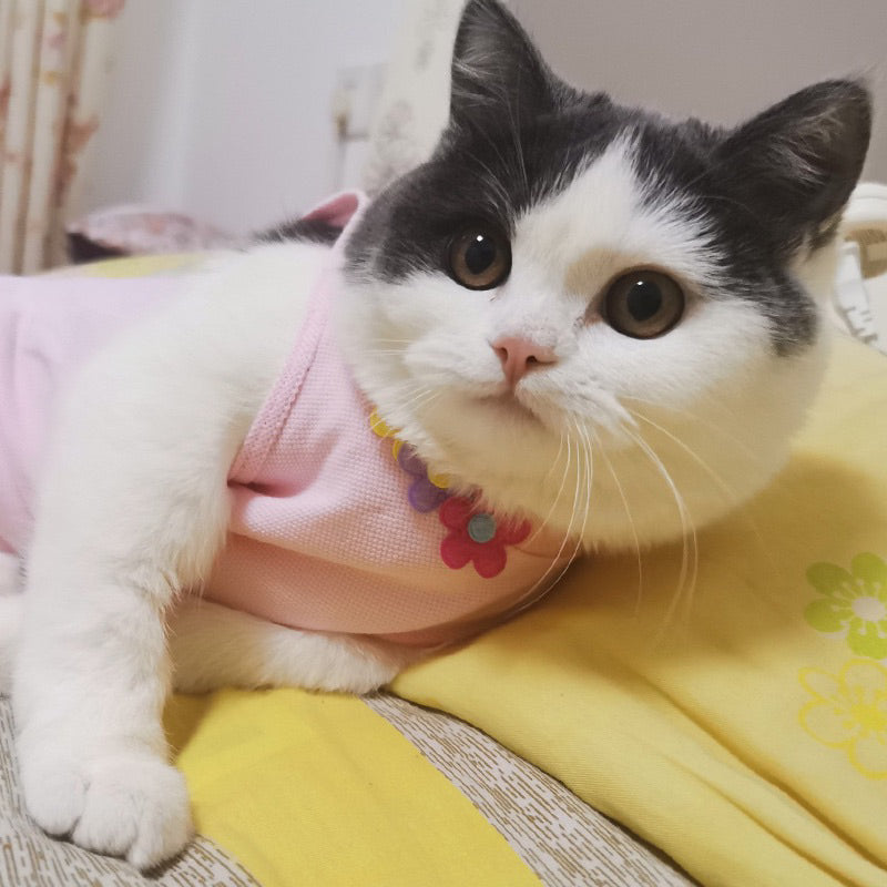 Cat Surgery Suit Cloth Licking Prevent Protecter