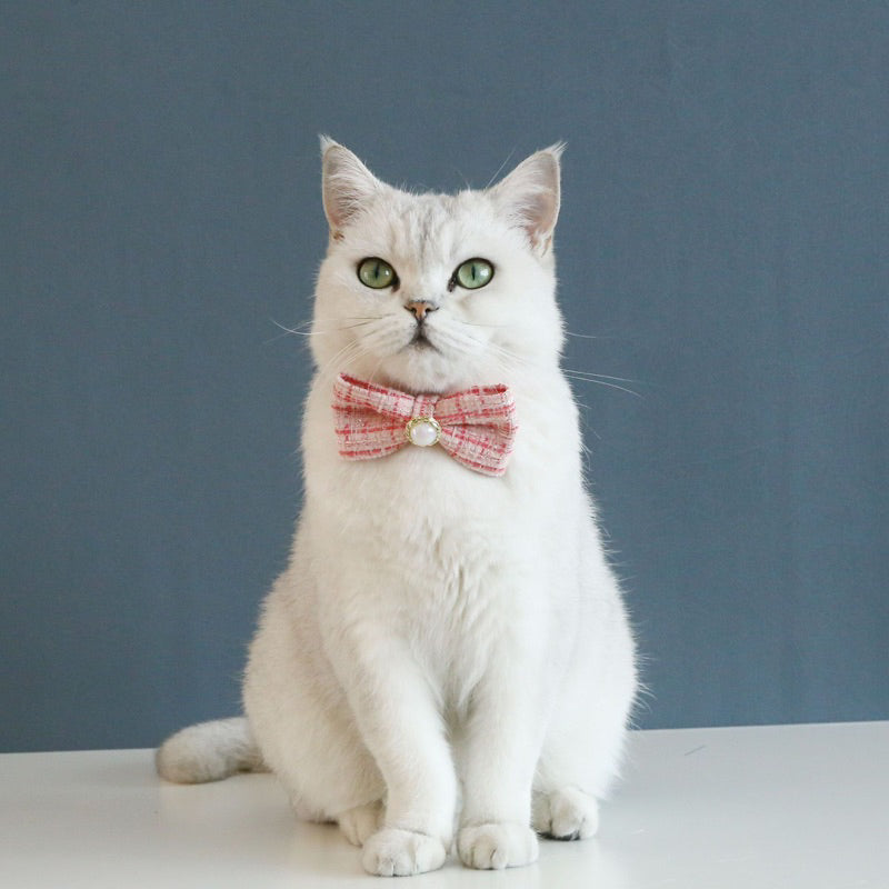 Cat bowtie bow tie grid design dog pet collar necklace accessories