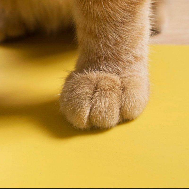 Wakupet Cat Eating Tray Silicone Rubber Carpet Pet Dog Soft Water Proof