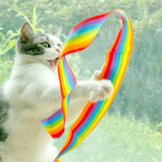 Rainbow Band 2m Long Ribbon Cat Teaser Pet Toy Chaser Wand Wood Stick
