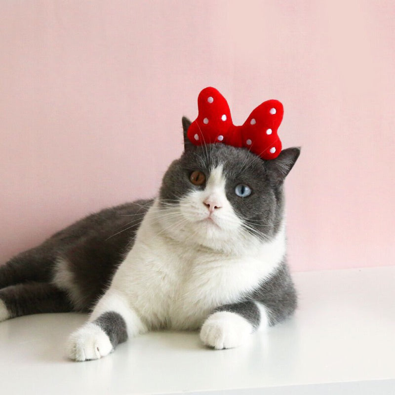 Cat Fluffy Bow Tie with Dot Cute Hairband Hairpin Pet Accessories