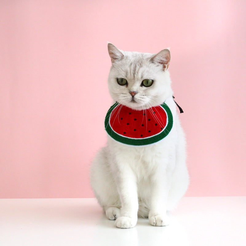 Cat Dog Collar Napkin Necklace Accessories Pet Cloth Tamago Duck Cherry Watermelon
