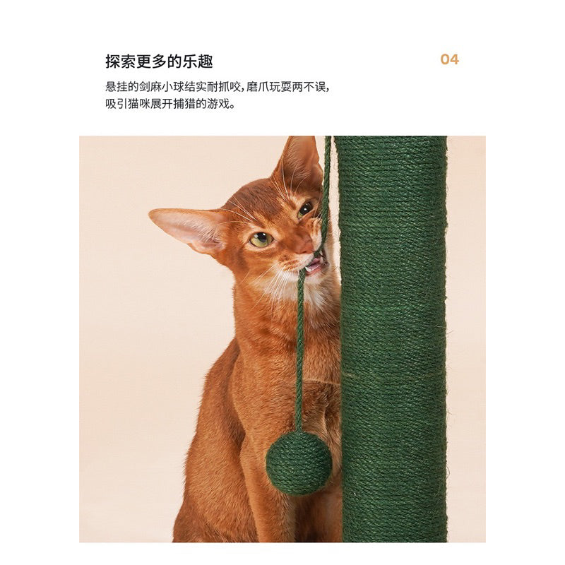 Zeze Cactus 🌵 Tree Cat Scratcher Post Pole Sisal Rope Pet Toy
