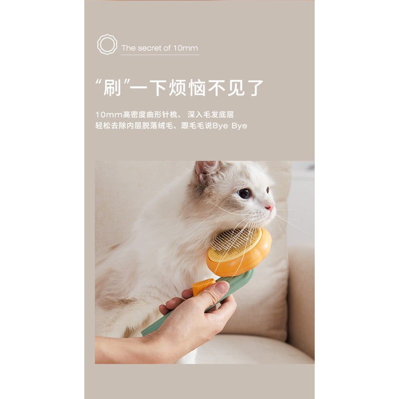 Pumpkin Cat Dog Pet Brush Grooming Comb Hair Remover Auto Clean