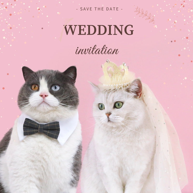 Pet Wedding Veil Cat Dog Cosplay Suit Crown