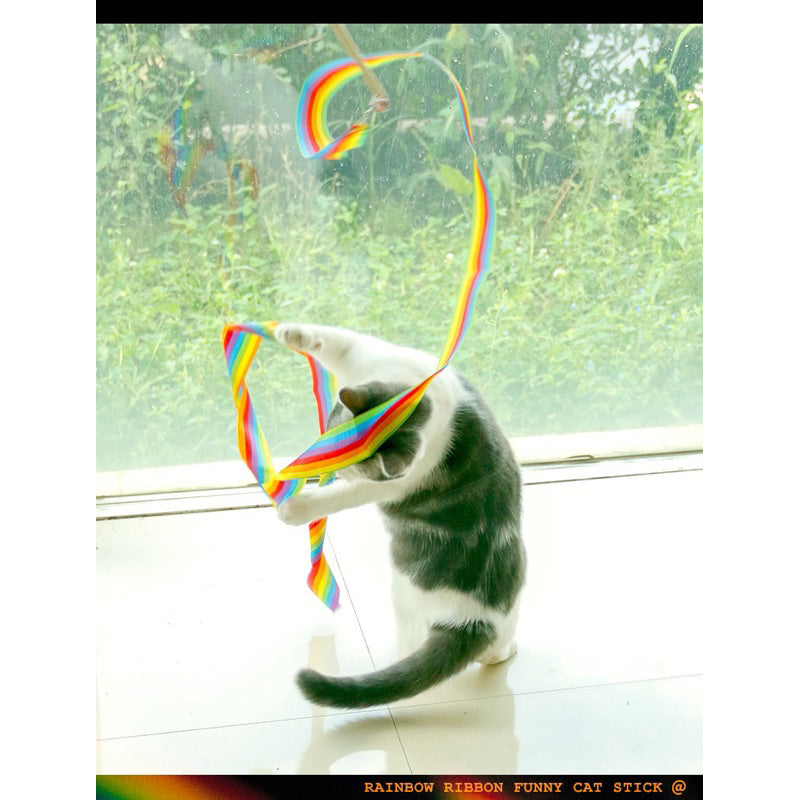 Rainbow Band 2m Long Ribbon Cat Teaser Pet Toy Chaser Wand Wood Stick