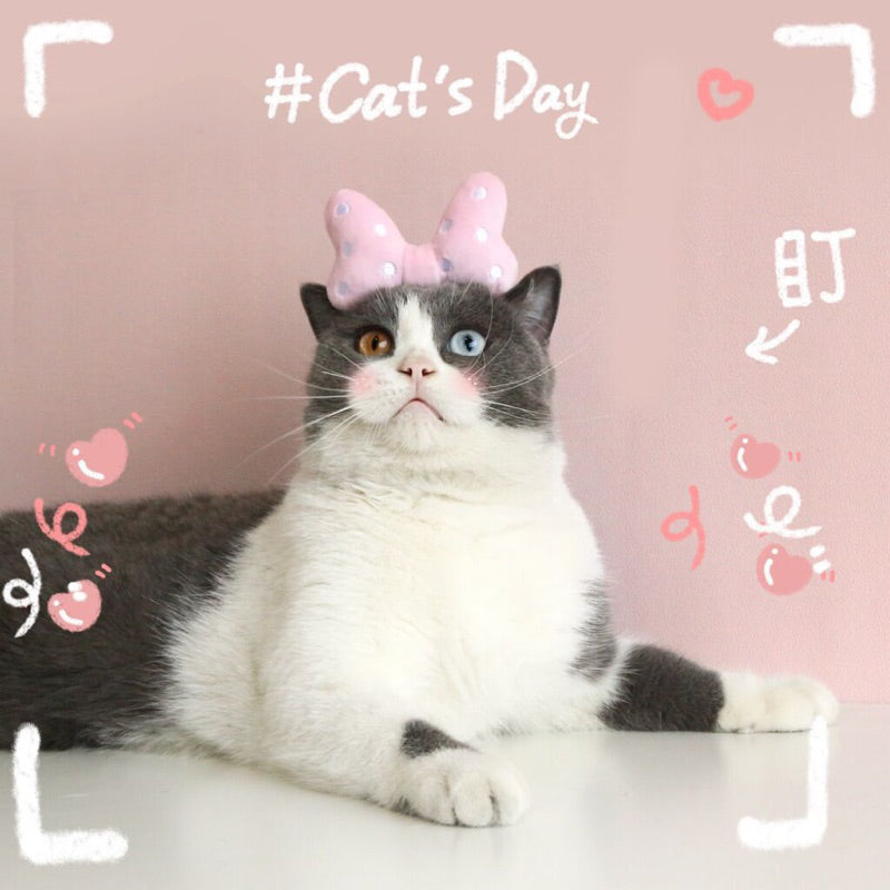Cat Fluffy Bow Tie with Dot Cute Hairband Hairpin Pet Accessories