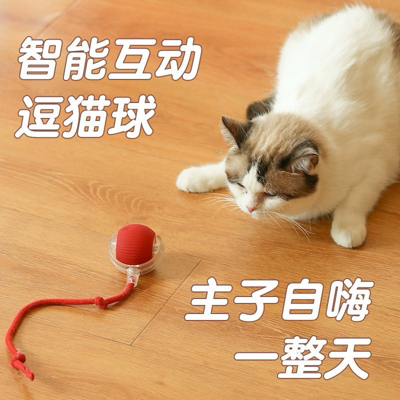 Electronic Running Cat Toy Chaser Ball w Tail Pet Toy