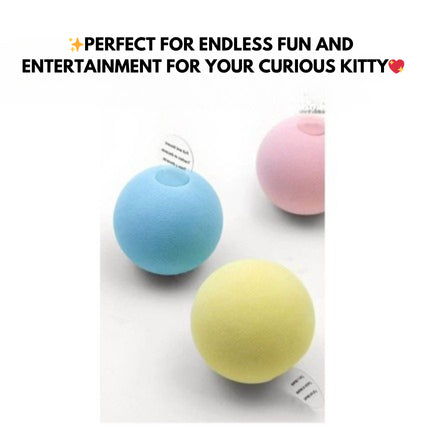[SG Stock] EVA soft ball with nature sound cat toy pet