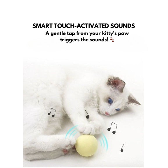 [SG Stock] EVA soft ball with nature sound cat toy pet