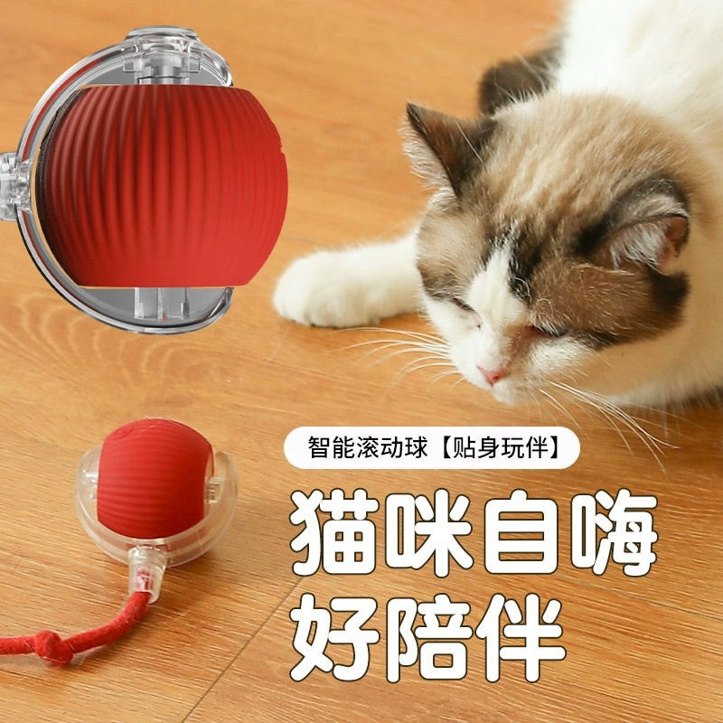 Electronic Running Cat Toy Chaser Ball w Tail Pet Toy