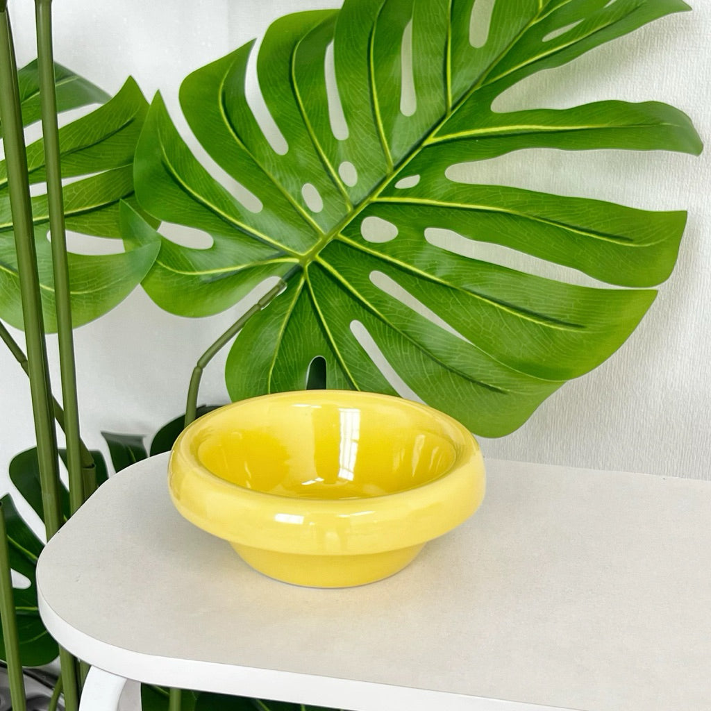 Metal Bowl Stand and Ceramic Bowl for Pet Tall Feeding Set for Cat Dog