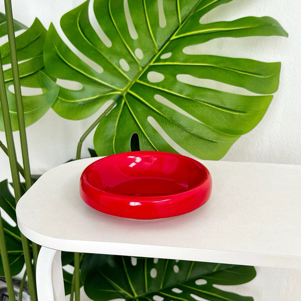 Metal Bowl Stand and Ceramic Bowl for Pet Tall Feeding Set for Cat Dog