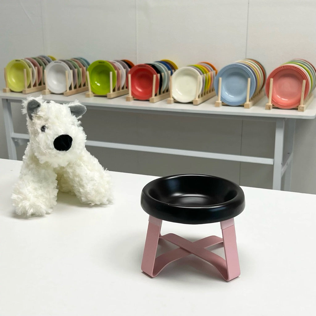 Metal Bowl Stand and Ceramic Bowl for Pet Tall Feeding Set for Cat Dog