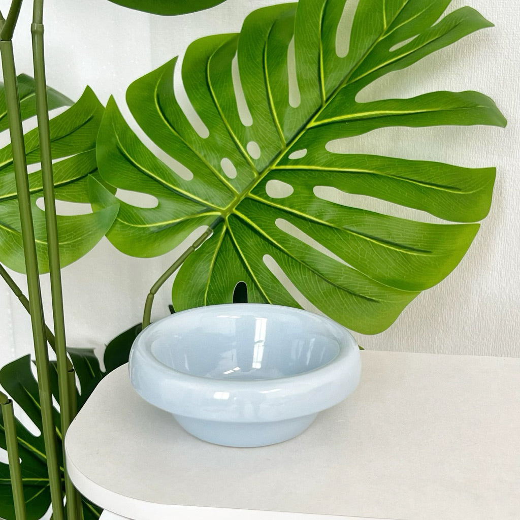Metal Bowl Stand and Ceramic Bowl for Pet Tall Feeding Set for Cat Dog