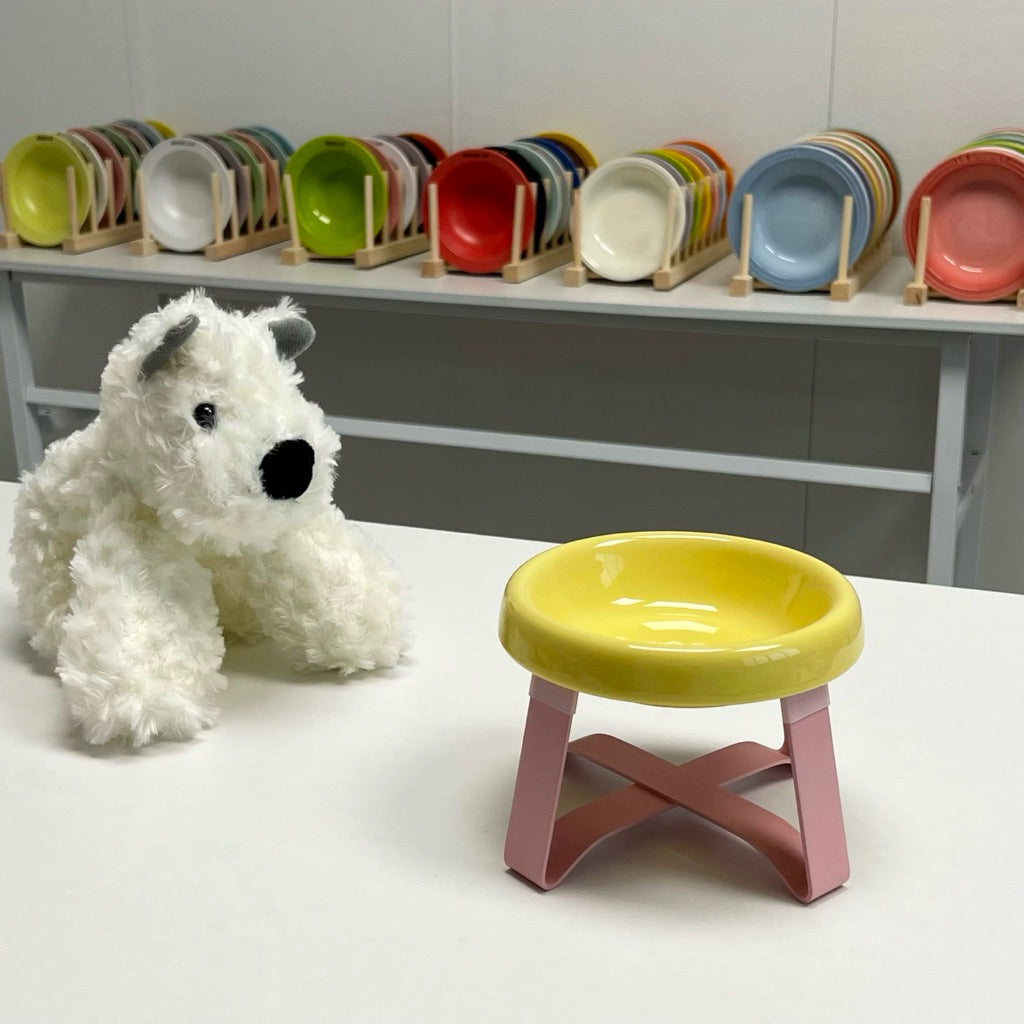 Metal Bowl Stand and Ceramic Bowl for Pet Tall Feeding Set for Cat Dog