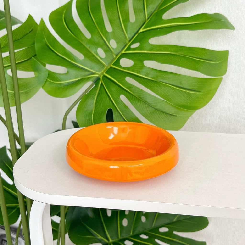 Metal Bowl Stand and Ceramic Bowl for Pet Tall Feeding Set for Cat Dog