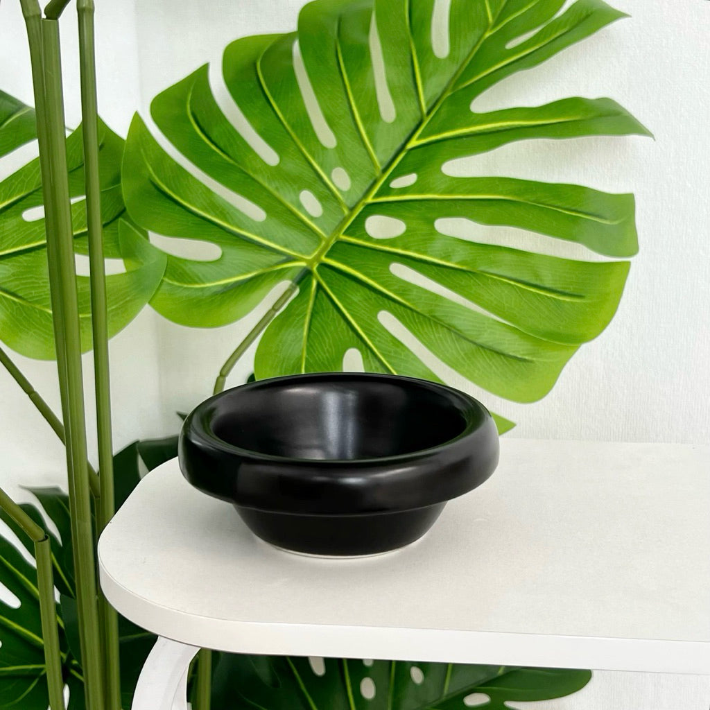 Metal Bowl Stand and Ceramic Bowl for Pet Tall Feeding Set for Cat Dog