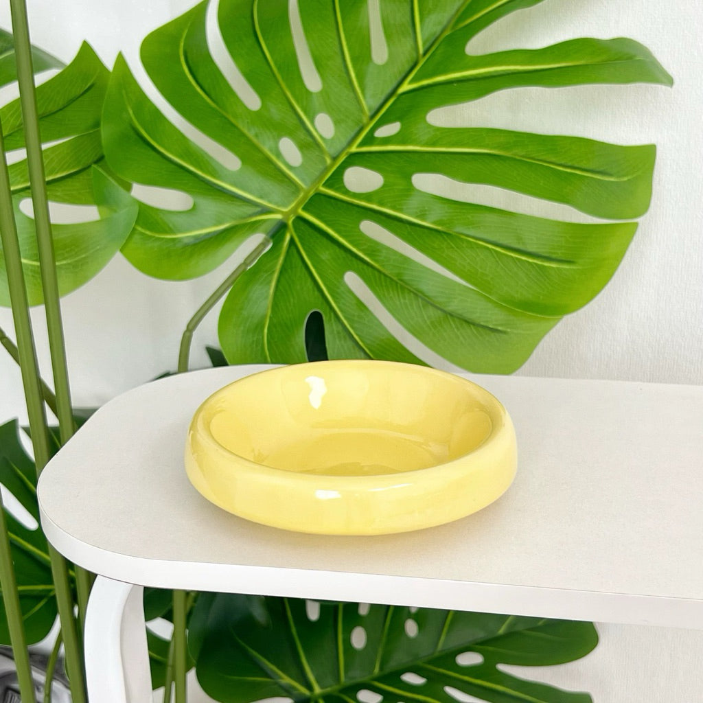 Metal Bowl Stand and Ceramic Bowl for Pet Tall Feeding Set for Cat Dog