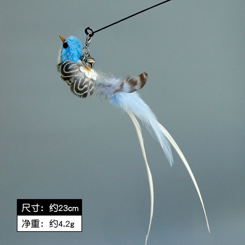 Colorful Bird Cat Teaser Replacement Set Tip Chaser for Kitten