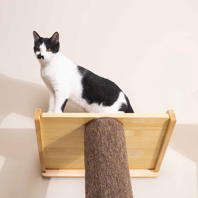 Wakupet 70 degree cat Climber Tree Condo 2m high with Hammock