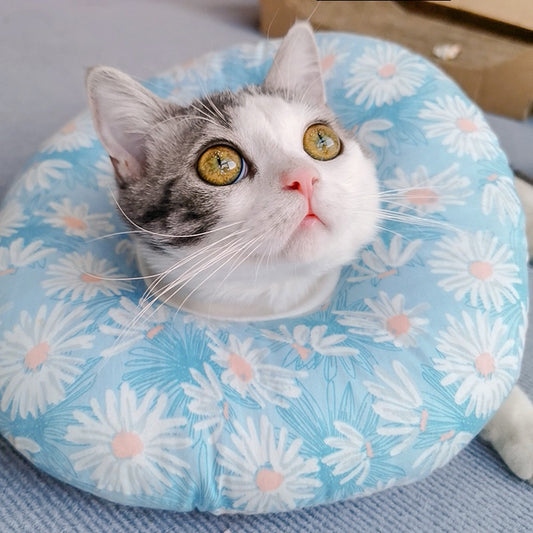 New Arrival Soft Pet Collar Cat Dog E-Cone Elizabeth Surgery Suit