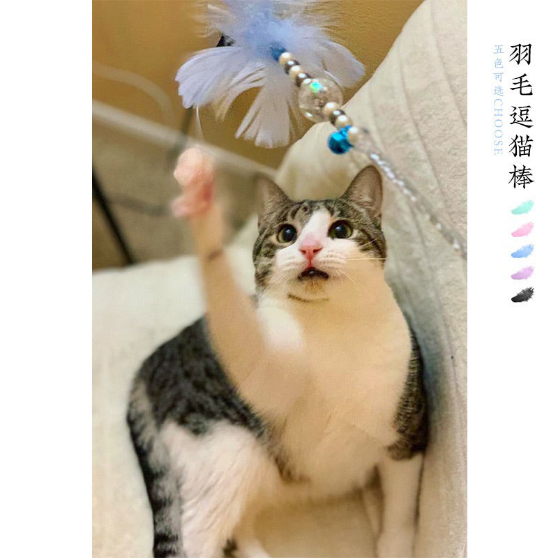 Angel cat teaser 5 colours feather bell with pearl wand stick