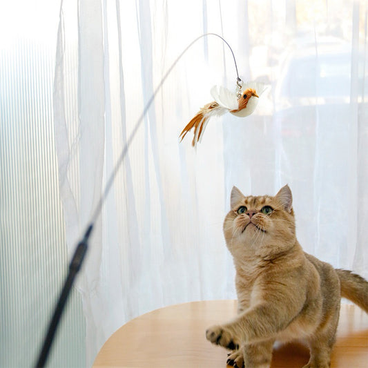 New Cat Teaser Artificial Bird Cat Teaser with Suction Pad