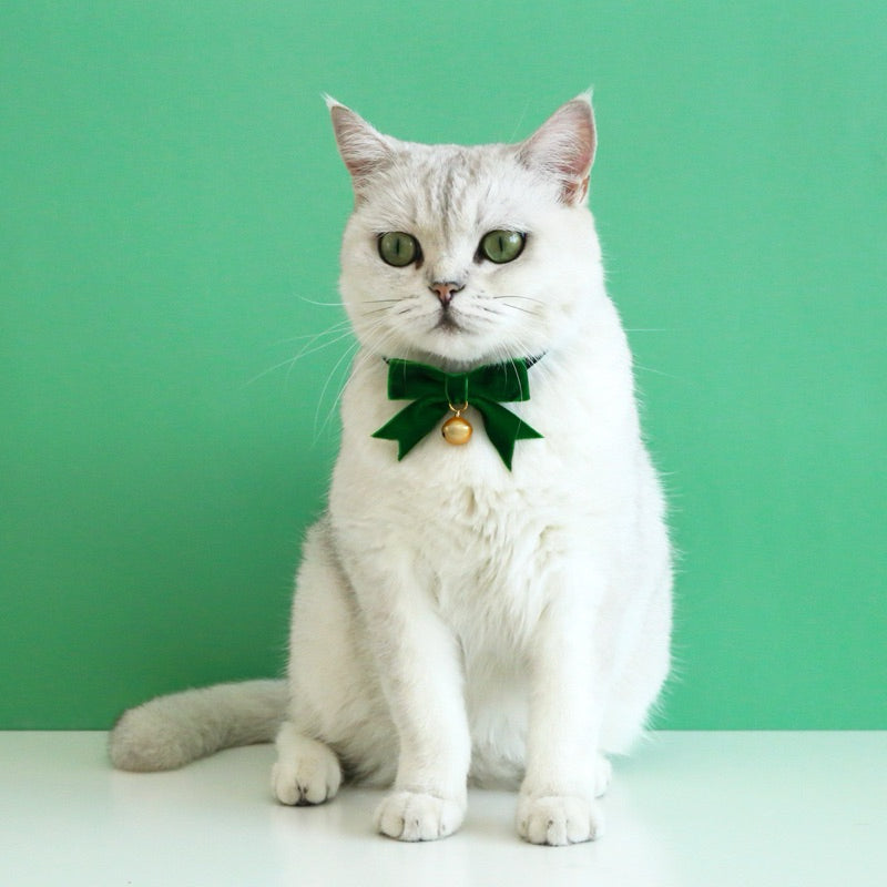 Pawfessor Christmas Collar Bow tie for Pet Cat Dog Velvet 17-33cm